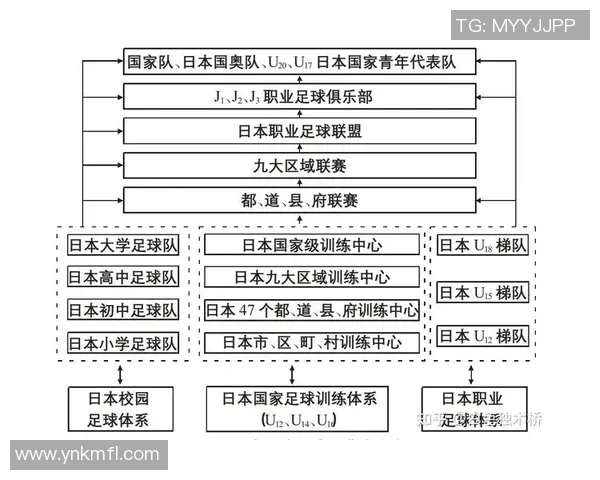 日本足球南方崛起的背后故事与未来发展潜力分析